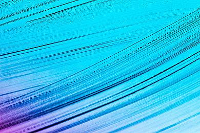 “养鸟”桌游《展翅翱翔》即将推出包含龙类的奇幻生物版本